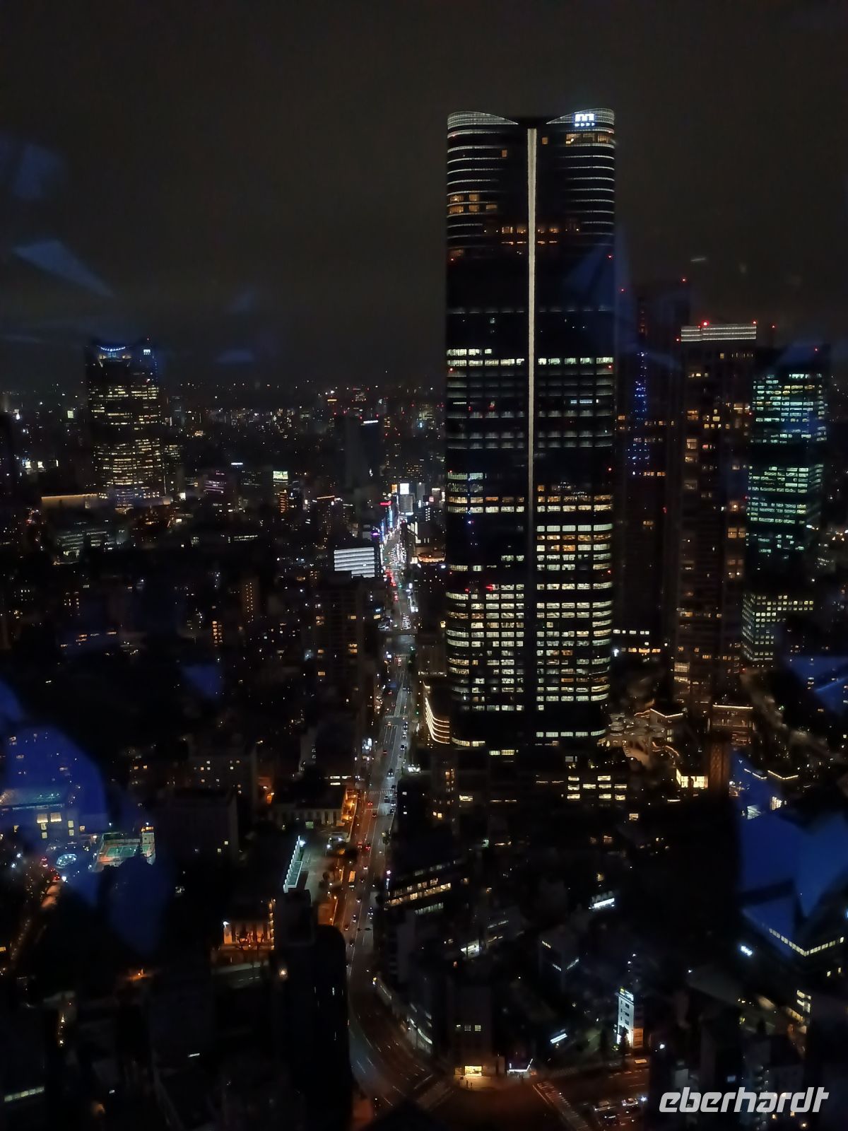 Blick von Tokyo Tower 