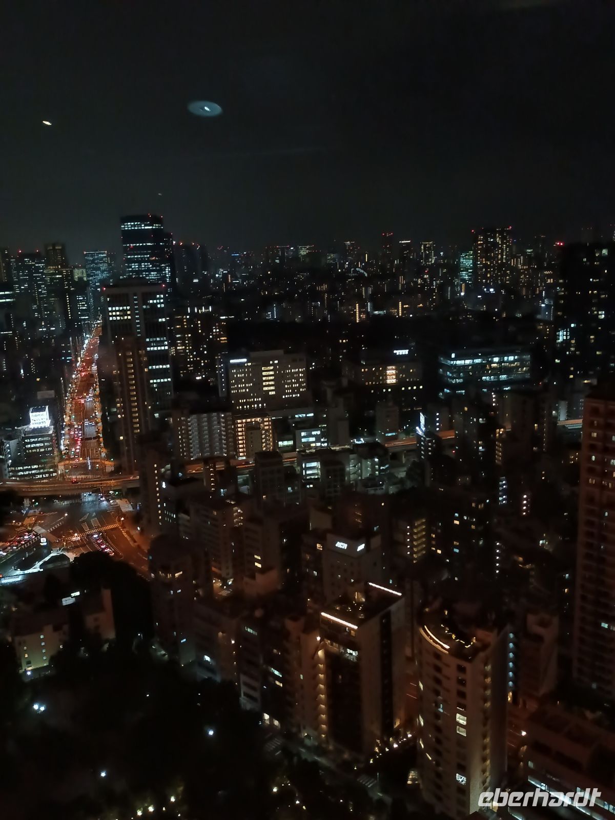 Blick vom Tokyo Tower 