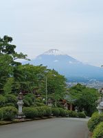 Fuji