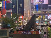 Hachiko