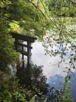 Park goldener Tempel Kyoto 