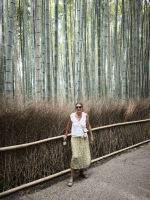 Kyoto Bambuswald 