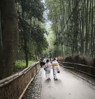 Kyoto Bambuswald 
