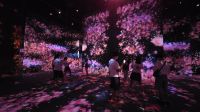 029 – Tokio, teamLab