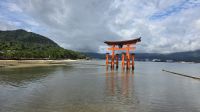 192 – Insel Miyajima, Itsukushima-Schrein