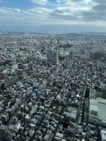 Blick über Tokyo vom Skytree aus
