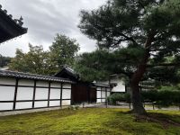 Kinkaku-ji 