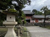 Kasugataisha Schrein