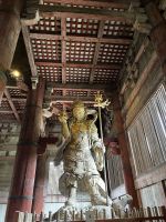 Wächter des Tempels