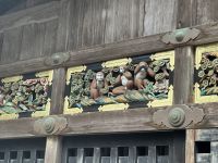 die drei Affen &ndash; &copy; Sabine Letzybyll (Eberhardt TRAVEL)