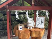 Nikko - Futarasan Schrein &ndash; &copy; Sabine Letzybyll (Eberhardt TRAVEL)