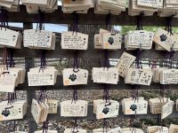 Tokio - Meiji-Schrein - Wunschtafeln &ndash; &copy; Sabine Letzybyll (Eberhardt TRAVEL)