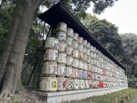 Tokio - Meiji-Schrein &ndash; &copy; Sabine Letzybyll (Eberhardt TRAVEL)