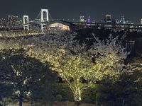 Tokio bei Nacht - Odaiba &ndash; &copy; Sabine Letzybyll (Eberhardt TRAVEL)
