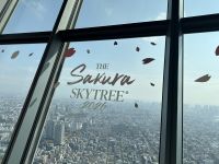 Tokio - Blick vom Skytree &ndash; &copy; Sabine Letzybyll (Eberhardt TRAVEL)