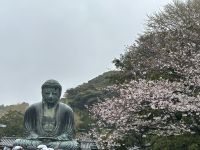 der große Buddha von Kamakura - Kotoku-in &ndash; &copy; Sabine Letzybyll (Eberhardt TRAVEL)