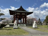 Peace Park - Kirschblüte &ndash; &copy; Sabine Letzybyll (Eberhardt TRAVEL)
