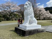 Peace Park - Kirschblüte &ndash; &copy; Sabine Letzybyll (Eberhardt TRAVEL)