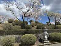 Peace Park - Kirschblüte &ndash; &copy; Sabine Letzybyll (Eberhardt TRAVEL)