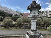 Peace Park - Kirschblüte &ndash; &copy; Sabine Letzybyll (Eberhardt TRAVEL)