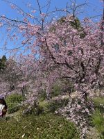 Heian-Schrein Garten &ndash; &copy; Mary Dobberkau (Eberhardt TRAVEL)