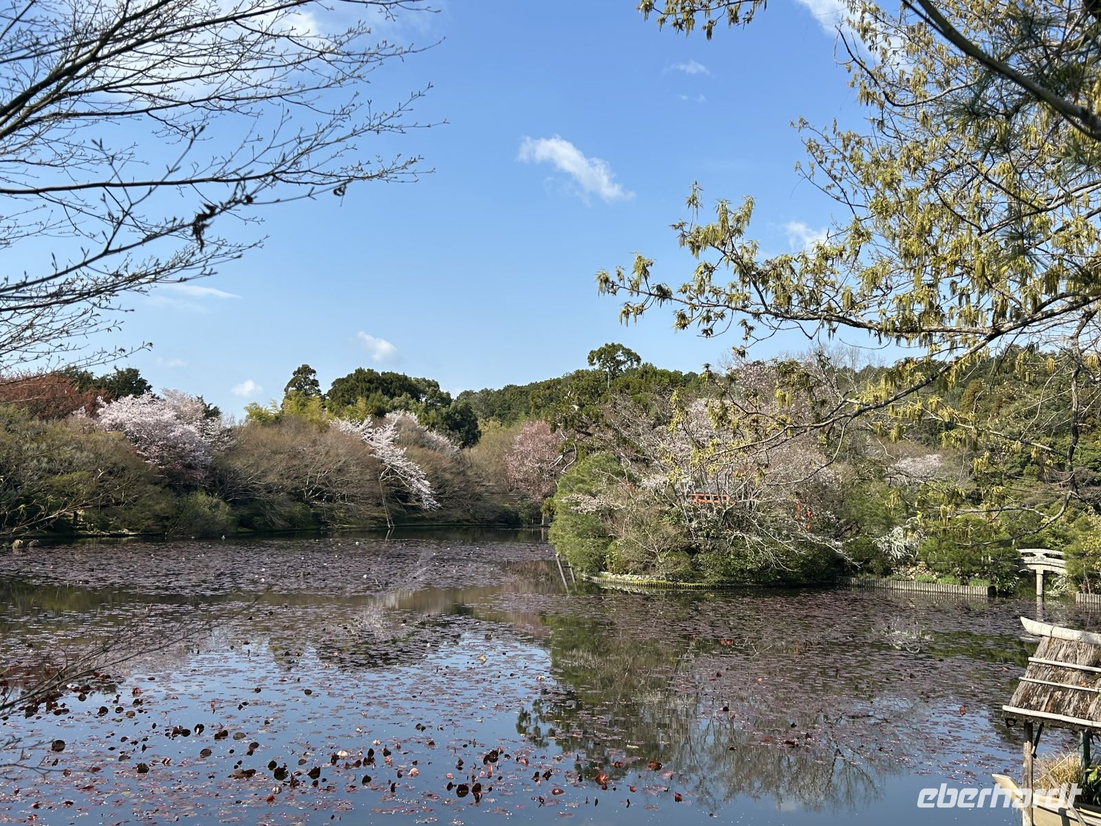 Ryoan-ji Zen-Garten &ndash; &copy;  (Eberhardt TRAVEL)