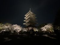 Tempel Illumination Toji-Tempel &ndash; &copy; Mary Dobberkau (Eberhardt TRAVEL)