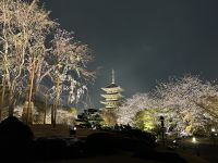 Tempel Illumination Toji-Tempel &ndash; &copy; Mary Dobberkau (Eberhardt TRAVEL)