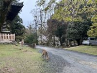 Nara &ndash; &copy; Mary Dobberkau (Eberhardt TRAVEL)