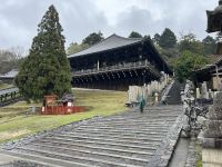Nara &ndash; &copy; Mary Dobberkau (Eberhardt TRAVEL)