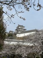 Burg Himeji &ndash; &copy; Mary Dobberkau (Eberhardt TRAVEL)