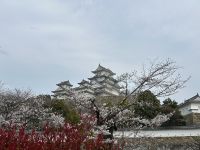 Burg Himeji &ndash; &copy; Mary Dobberkau (Eberhardt TRAVEL)