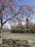 Gotemba Peace Park &ndash; &copy; Mary Dobberkau (Eberhardt TRAVEL)