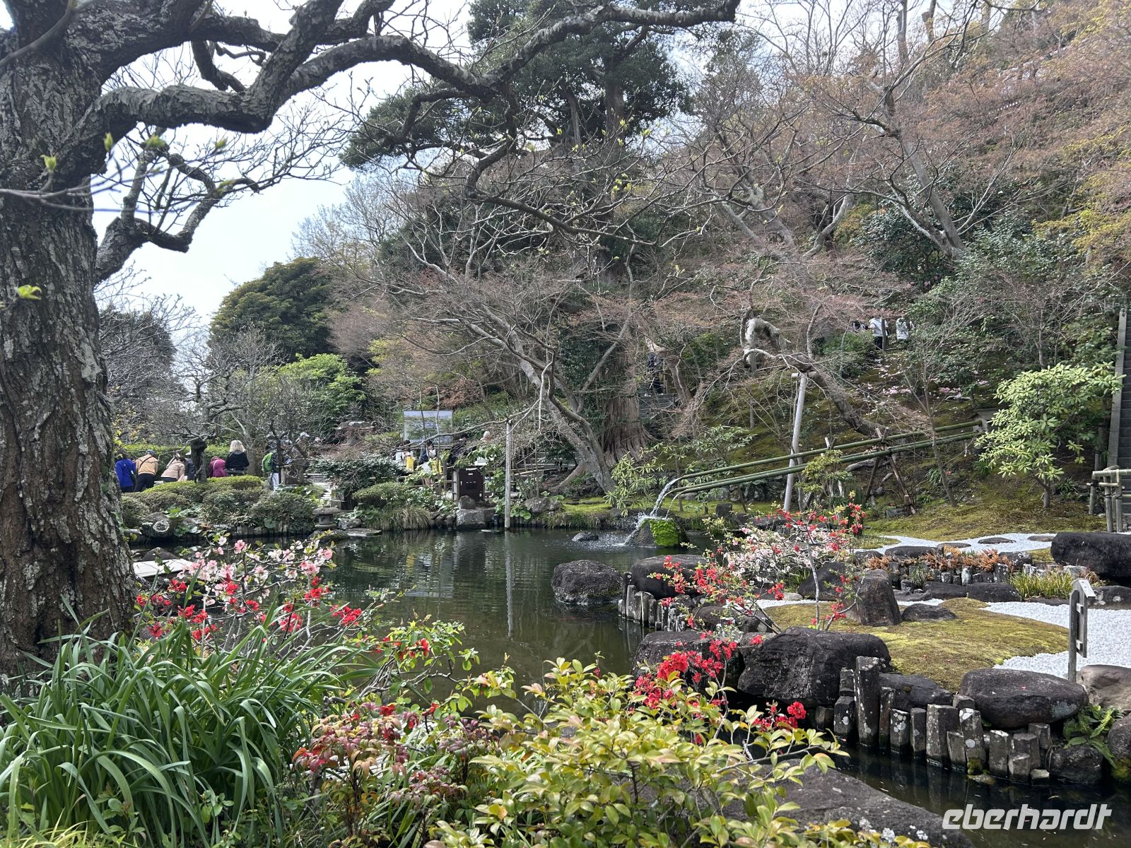 Hasedera-Tempel &ndash; &copy;  (Eberhardt TRAVEL)