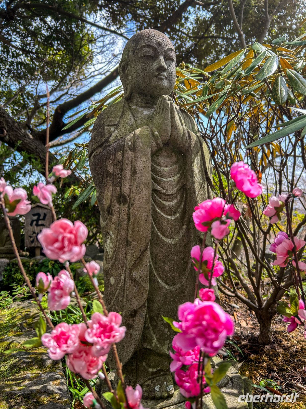 Buddha im Hasedera-Tempel &ndash; &copy;  (Eberhardt TRAVEL)