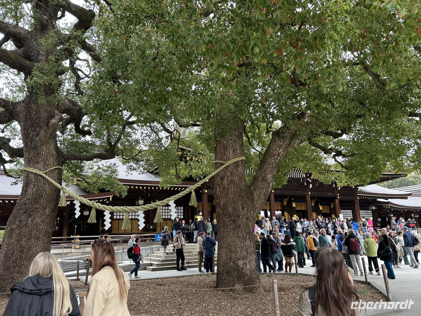 Meiji-Schrein &ndash; &copy;  (Eberhardt TRAVEL)