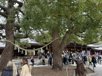 Meiji-Schrein &ndash; &copy; Mary Dobberkau (Eberhardt TRAVEL)