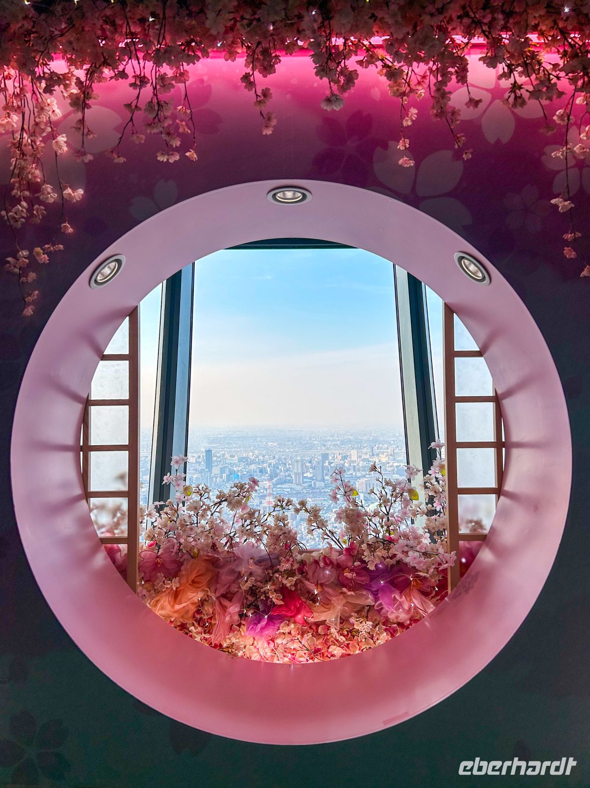 Skytower Tokio &ndash; &copy;  (Eberhardt TRAVEL)