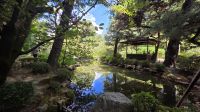 247 – Kyoto, Heian Schrein und Garten