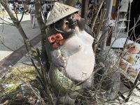 Tanuki &ndash; &copy; Sabine Letzybyll (Eberhardt TRAVEL)