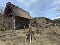 Bergdorf Ogimachi  &ndash; &copy; Sabine Letzybyll (Eberhardt TRAVEL)
