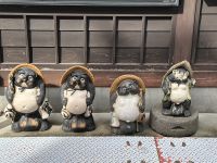 Tanuki - kleiner Marder - Maskottchen &ndash; &copy; Sabine Letzybyll (Eberhardt TRAVEL)