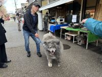 Takayama - Morgenmarkt &ndash; &copy; Sabine Letzybyll (Eberhardt TRAVEL)
