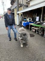 Takayama - Morgenmarkt &ndash; &copy; Sabine Letzybyll (Eberhardt TRAVEL)