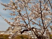 Himeji - Burg des weißen Reihers &ndash; &copy; Sabine Letzybyll (Eberhardt TRAVEL)