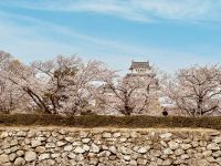 Himeji - Burg des weißen Reihers &ndash; &copy; Sabine Letzybyll (Eberhardt TRAVEL)