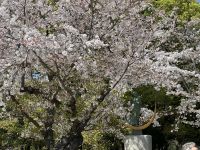 Hiroshima - Friedenspark &ndash; &copy; Sabine Letzybyll (Eberhardt TRAVEL)