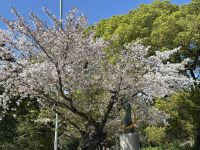 Hiroshima - Friedenspark &ndash; &copy; Sabine Letzybyll (Eberhardt TRAVEL)