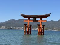 Miyajima &ndash; &copy; Sabine Letzybyll (Eberhardt TRAVEL)
