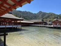 Miyajima &ndash; &copy; Sabine Letzybyll (Eberhardt TRAVEL)